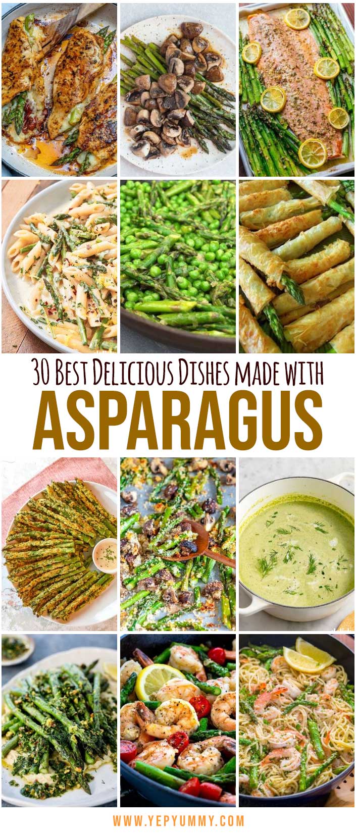 30 Best Delicious Dishes Made With Asparagus