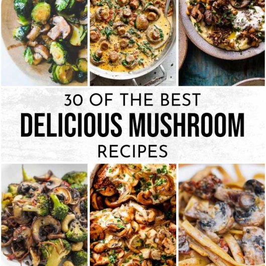 30 Of The Best Delicious Mushroom Recipes