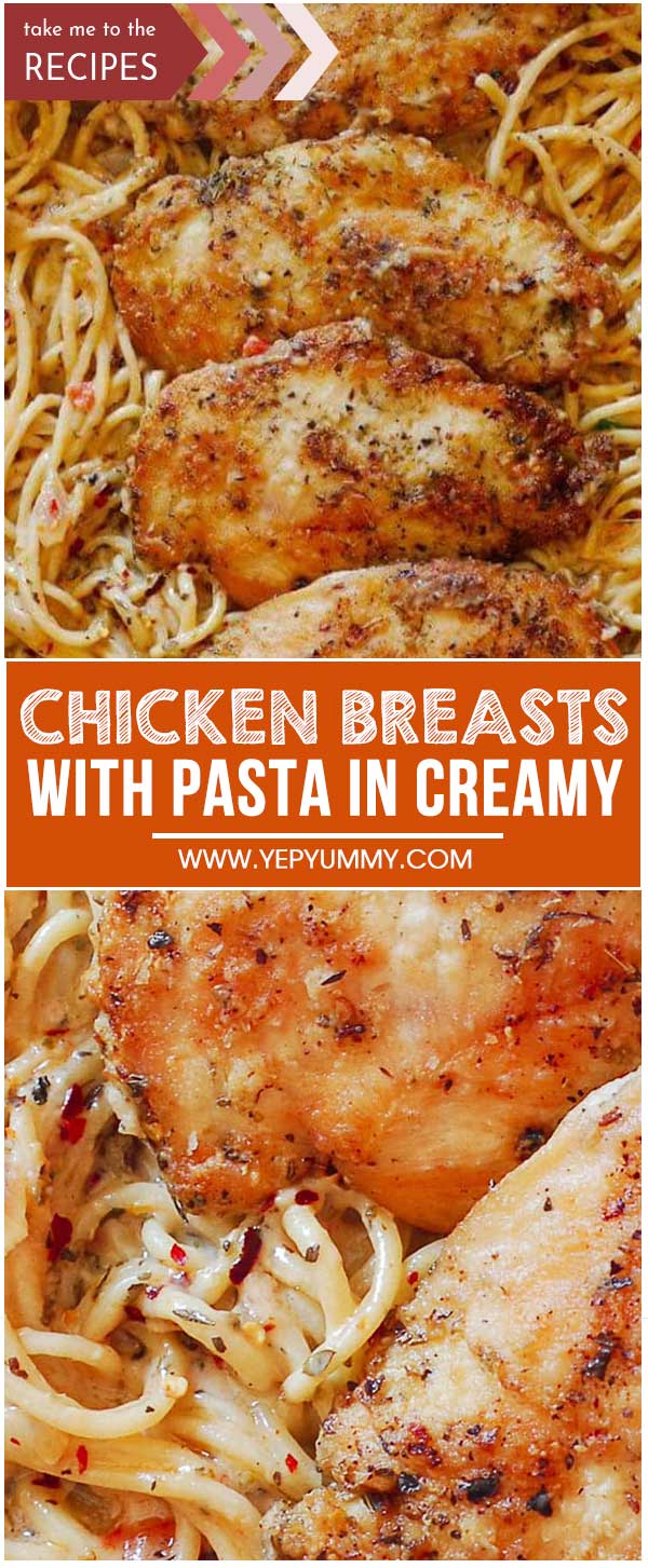 Chicken Breasts with Pasta in Creamy White Wine Parmesan Cheese Sauce