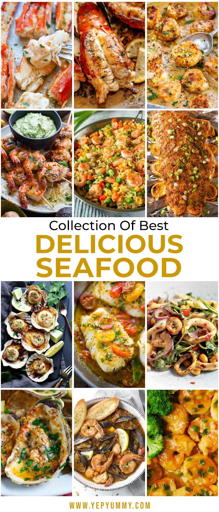Collection of Best Delicious Seafood Dishes