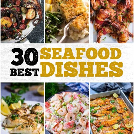 Collection of Best Delicious Seafood Dishes